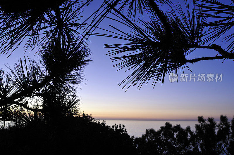 黄昏的Torrey Pine